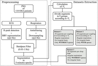 Linear and Non-linear Quantification of the Respiratory Sinus Arrhythmia Using Support Vector Machines